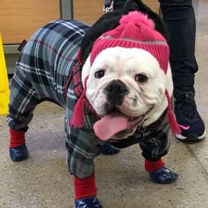 Meet your Posher, 有紀